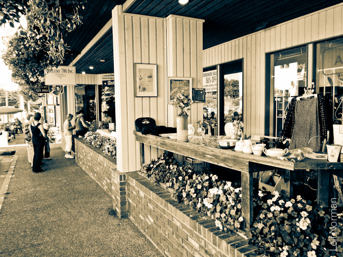 DSCN0319-120812
