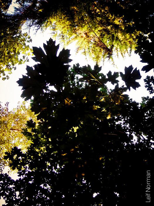 DSCN0344-120812