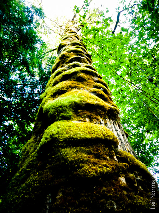 DSCN0360-120812