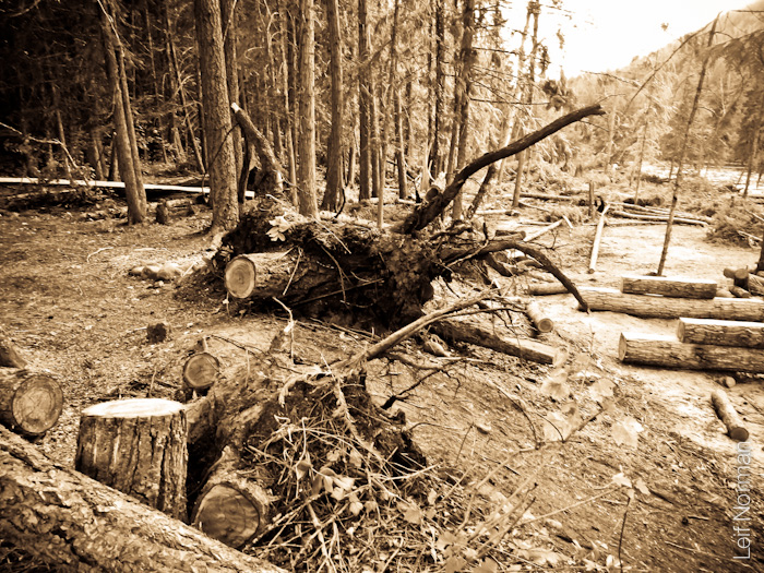 DSCN0557-120818
